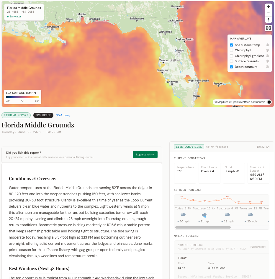 Sample report — FLORIDA • OFFSHORE