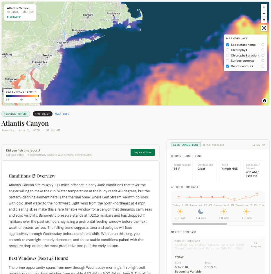 Sample report — NORTHEAST • OFFSHORE
